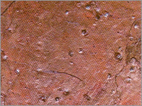 Copper Quartzite