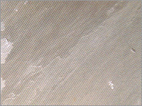 Lalitpur Grey Sandstone