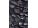Steel Grit