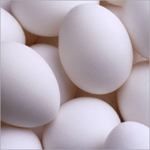 White Chicken Egg