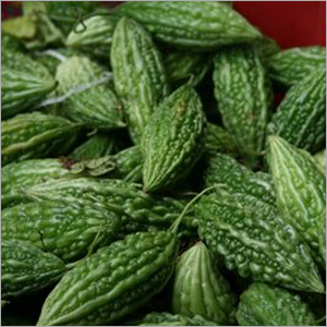 # Hybrid Bitter Gourd Seeds # Hybrid Bitter Gourd