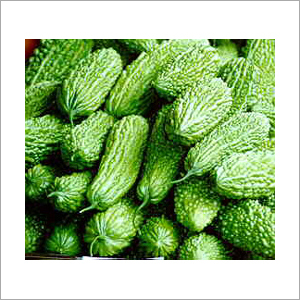 Bitter Gourd