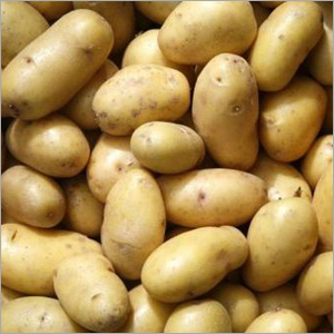 Large Potatoes