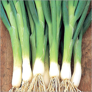 Spring Onion