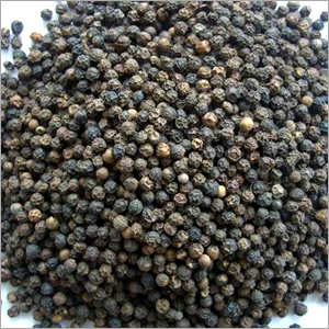 Black Pepper