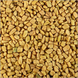 Fenugreek Seeds