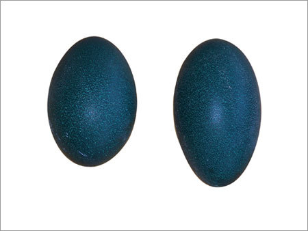 Emu Eggs