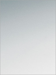 Stainless Steel Mirror