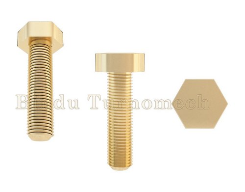 Brass Bolts