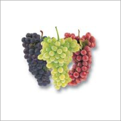 Fresh Grapes