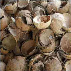 Coco Raw Coconut Shell
