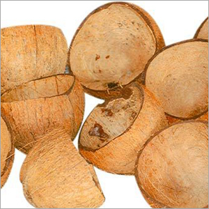 Coconut Shell