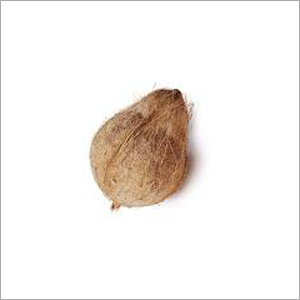 Coconut Shells