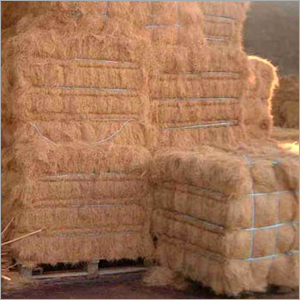 Coir Fibres
