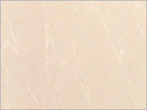 Imported Vitrified Tiles