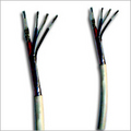 Cat 5 Networking Cables