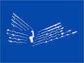Hosiery Machine Needles