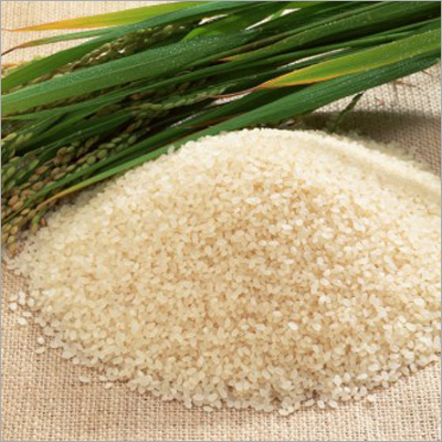 Rice Grain