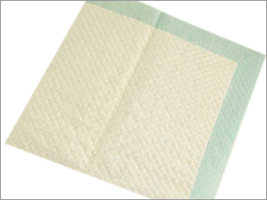Disposable Pads