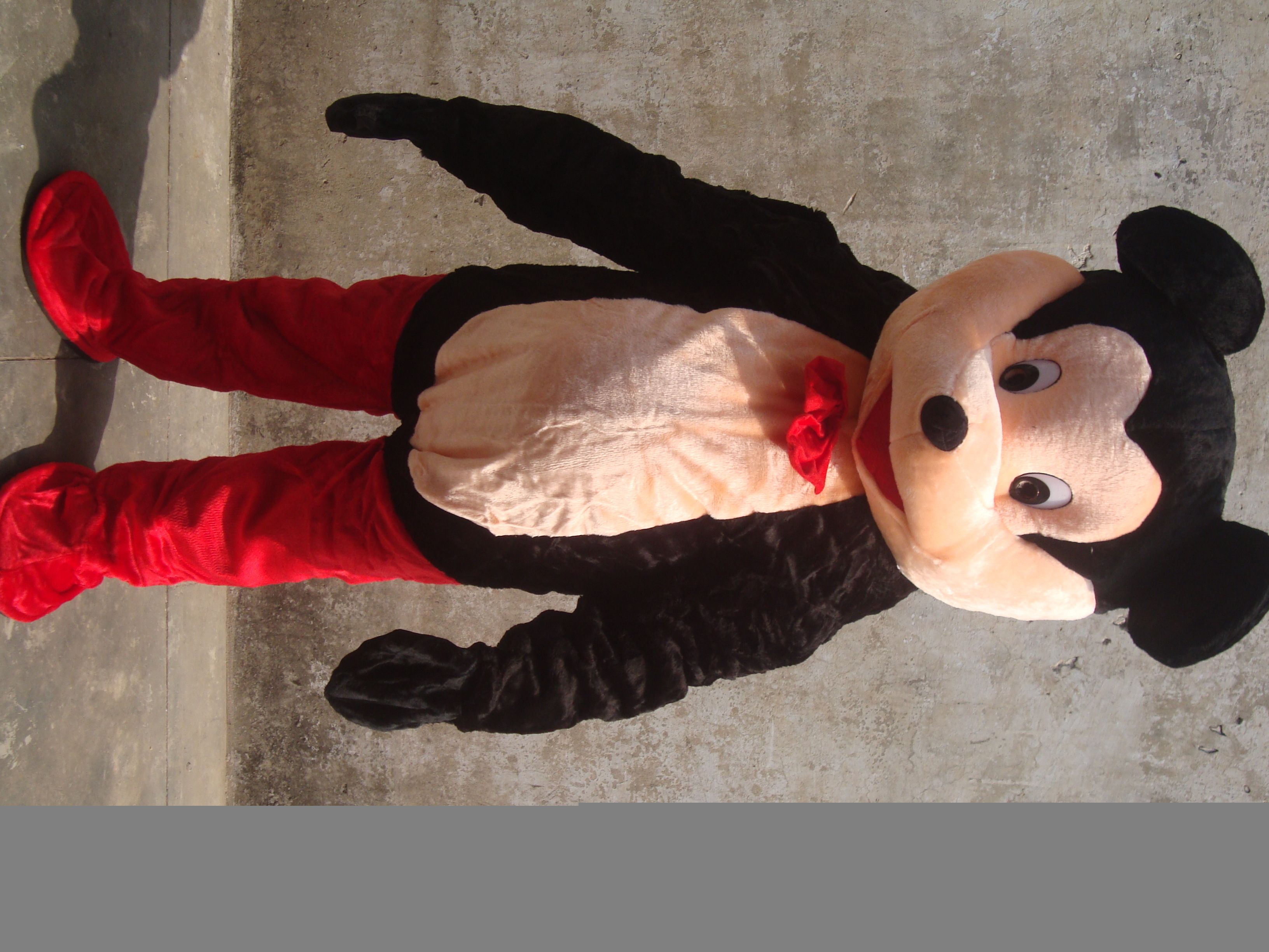 Mickey fur costume