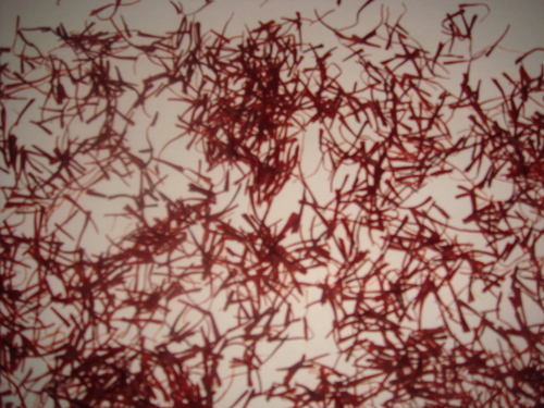 Saffron