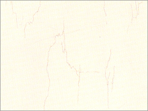 Vitrified Tile Flooring