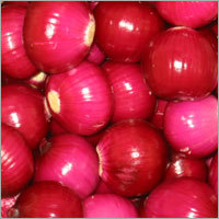 Red Onion