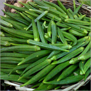 Okra