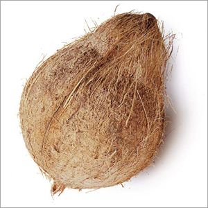 Coconut