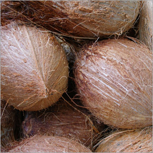 Organic Coconuts