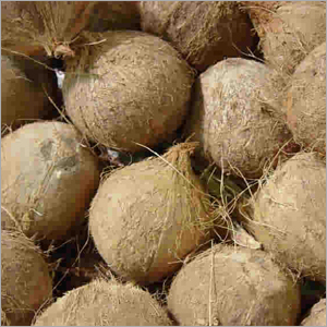 Dried Coconuts
