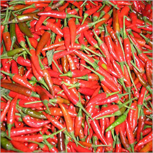 Fresh Red Chilli
