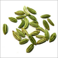 Fennel Seeds