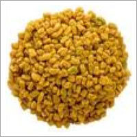 Fenugreek Seeds manufacturer india