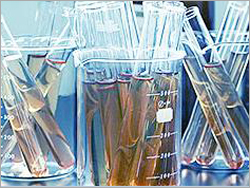Propylene Carbonate