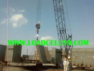 Crane Link Load Cell
