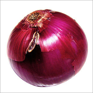 Onion