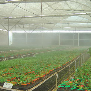 Green House Fan