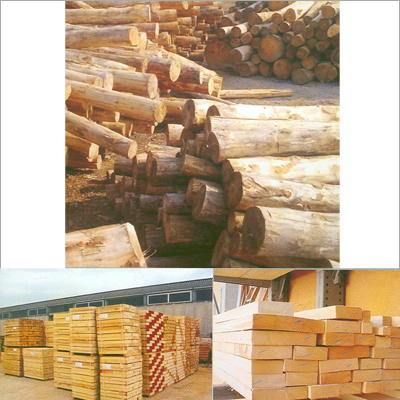 Timber