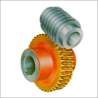 Industrial Worm Wheel