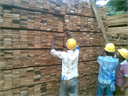 Jungle Wood Pallets