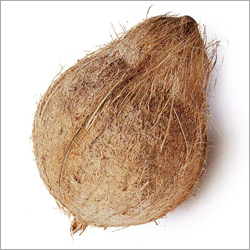Coconut