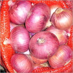 Onions