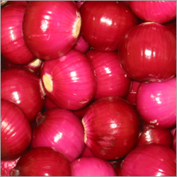 Fresh Red Onion