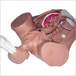 Child Birth Simulator Kit