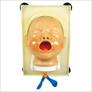Newborn Intubation Models