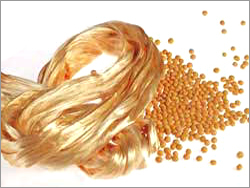 Soybean Fiber