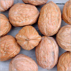 Wall Nut