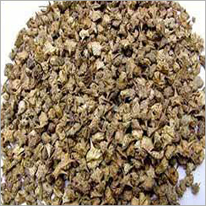 Caltrops,Gokhru,Puncture vine