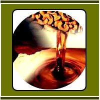Cashew Shell Oil